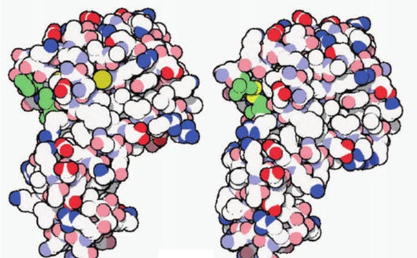 進口酶清關代理